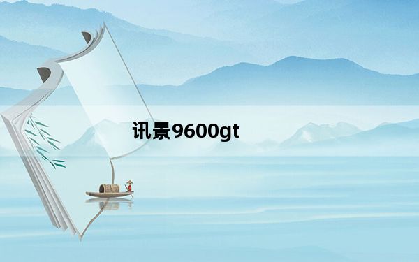 讯景9600gt_讯景9600GT怎么样