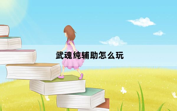 武魂纯辅助怎么玩_武魂纯辅助心得分享