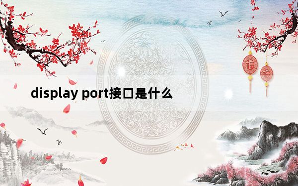 display port接口是什么_displayport接口