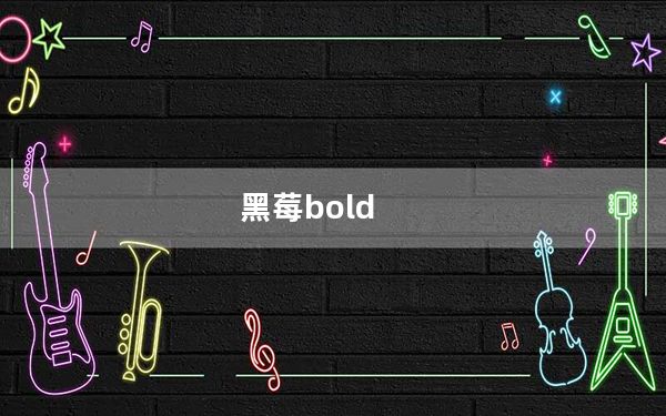 黑莓bold_黑莓bold9900