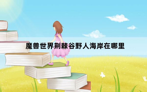 魔兽世界荆棘谷野人海岸在哪里_魔兽世界野人海岸在哪