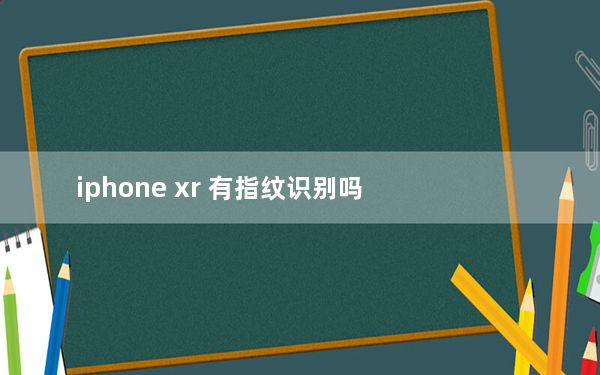 iphone xr 有指纹识别吗_iphonexr支持指纹识别吗