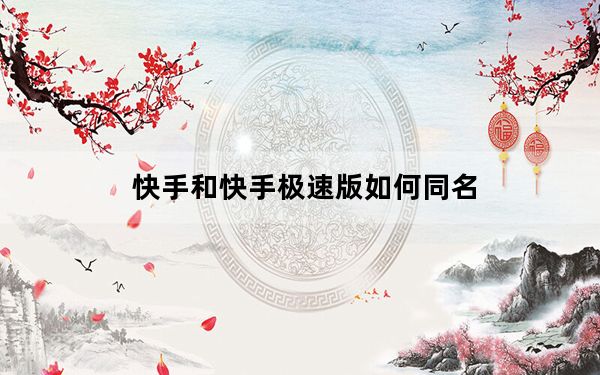 快手和快手极速版如何同名_快手与快手极速版的区别
