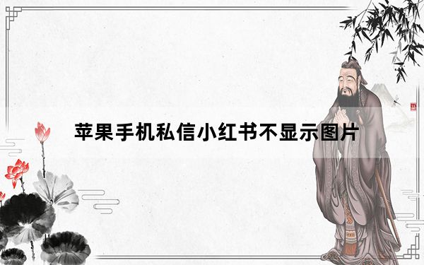 苹果手机私信小红书不显示图片_苹果手机不可以下载小红书吗