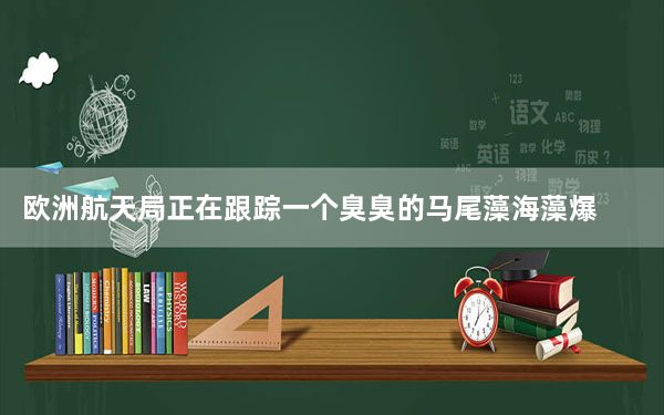 欧洲航天局正在跟踪一个臭臭的马尾藻海藻爆炸