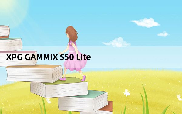XPG GAMMIX S50 Lite PCIe 4.0固态驱动器评测