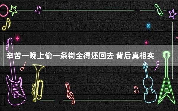 辛苦一晚上偷一条街全得还回去 背后真相实在让人惊愕