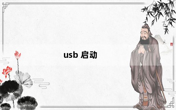 usb 启动_usb 启动