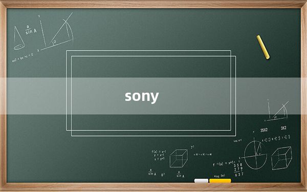sony_rolly及请问sonyrolly日版装舞蹈编辑软件只能装日文win系统吗