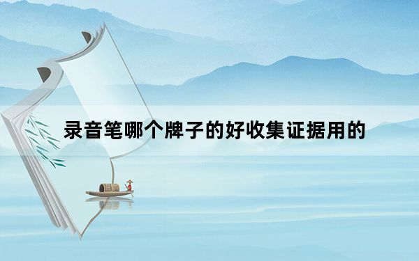 录音笔哪个牌子的好收集证据用的_录音笔哪个牌子的好