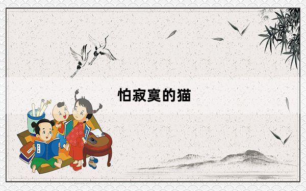 怕寂寞的猫_怕寂寞的猫