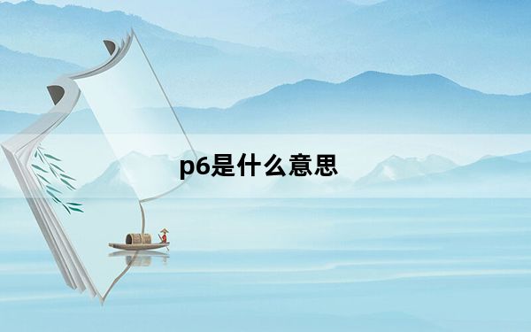 p6是什么意思_p6s
