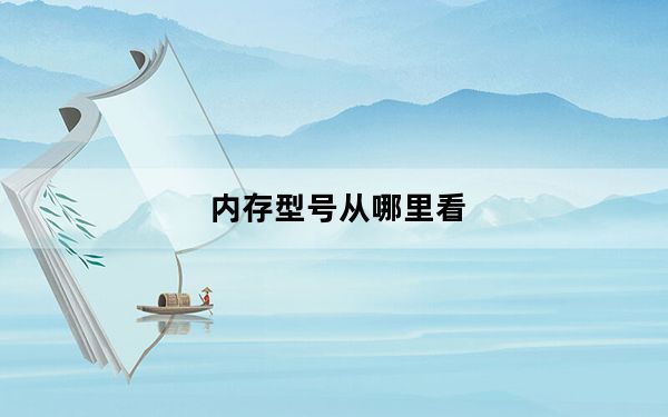 内存型号从哪里看_内存型号